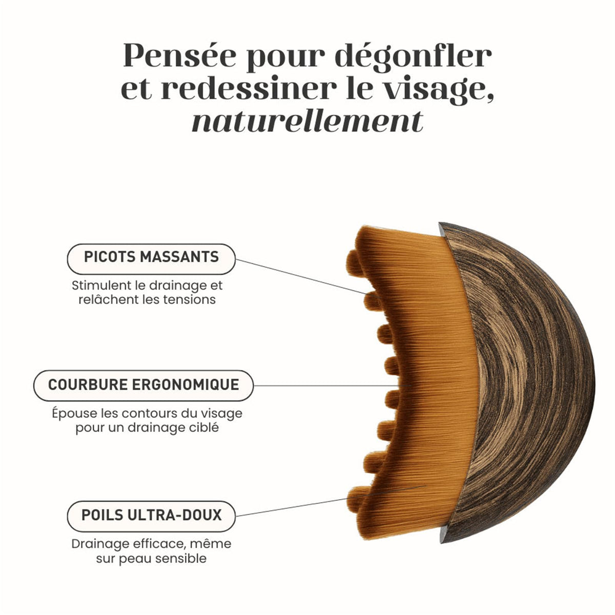 Brosse Sculptante Visage